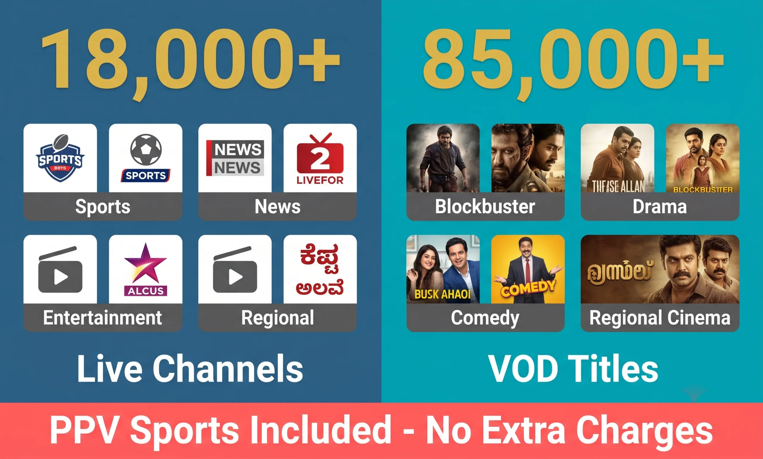Channels and VOD Library